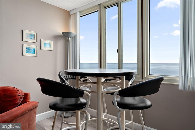 dining space featuring a water view and light wood-type flooring