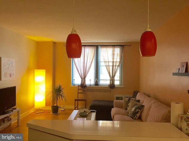 living room with hardwood / wood-style flooring