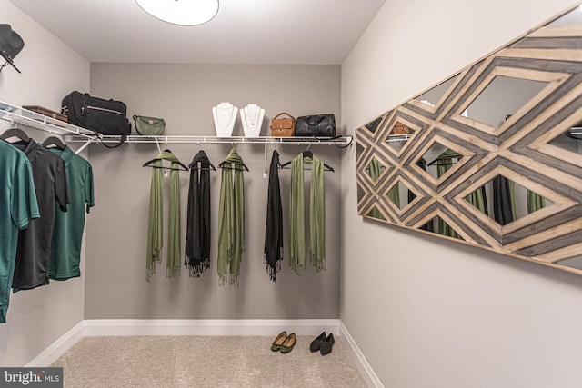 spacious closet featuring carpet