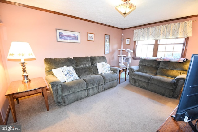 carpeted living room featuring ornamental molding and a textured ceiling