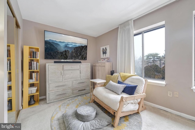 sitting room featuring light carpet