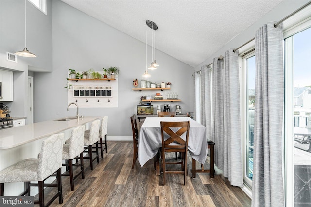 dining space with sink, a textured ceiling, lofted ceiling, and dark hardwood / wood-style flooring