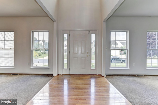 entrance foyer with light hardwood / wood-style flooring