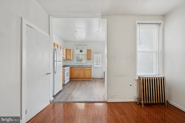 kitchen featuring white appliances, dark hardwood / wood-style floors, radiator, and a wealth of natural light