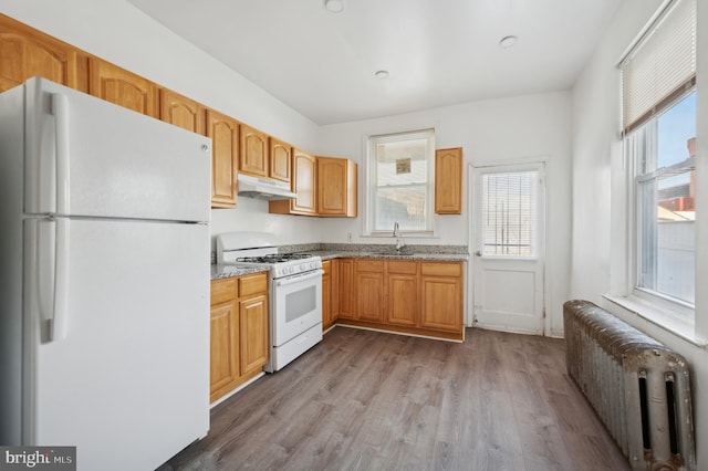 kitchen with white appliances, light stone countertops, radiator, light hardwood / wood-style flooring, and sink