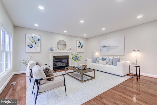 living room with wood-type flooring and a fireplace