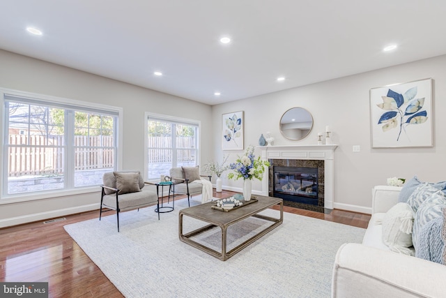 living room featuring wood-type flooring and a fireplace