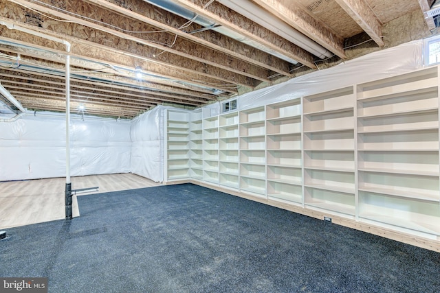 basement featuring carpet flooring