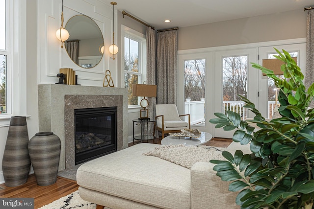 living area featuring hardwood / wood-style floors and a fireplace