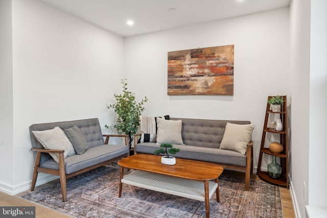 sitting room featuring hardwood / wood-style floors