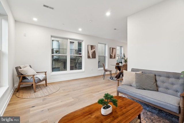 living room featuring light hardwood / wood-style flooring