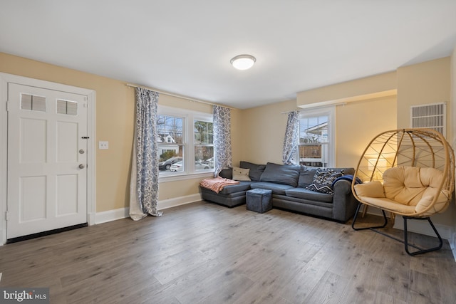 living room with wood-type flooring