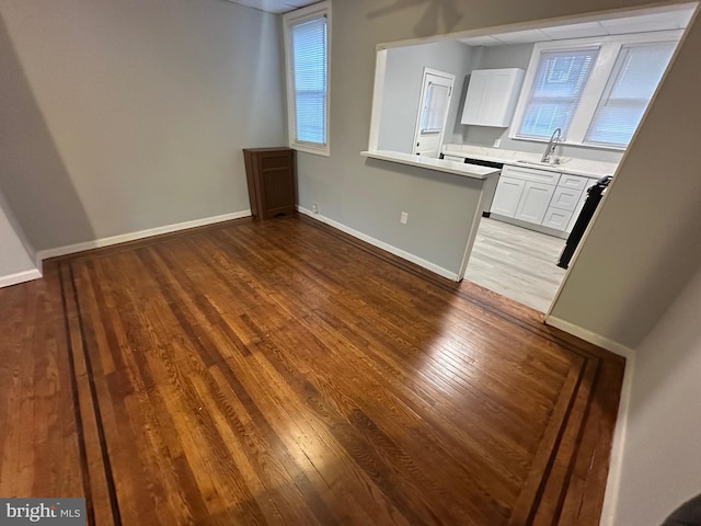 interior space featuring hardwood / wood-style flooring and sink