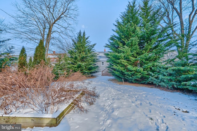 view of snowy yard