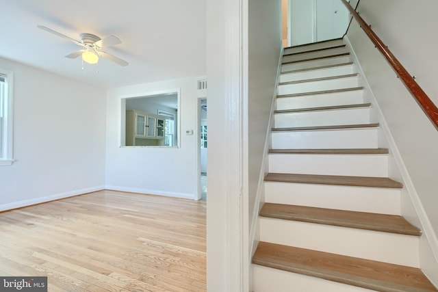 staircase with ceiling fan and hardwood / wood-style flooring