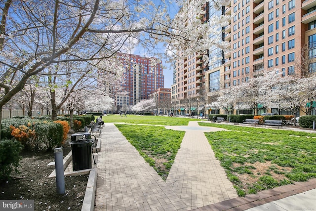 view of property's community featuring a lawn