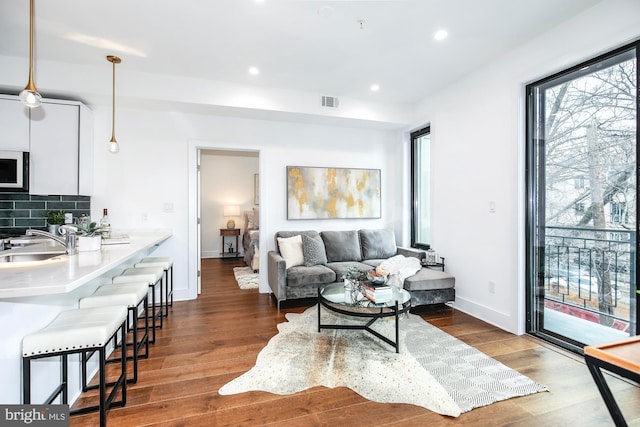 living room featuring dark wood-type flooring and sink