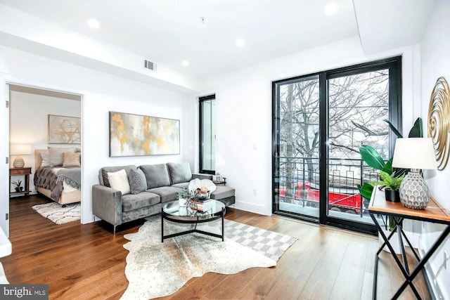 living room with hardwood / wood-style flooring