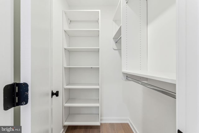 walk in closet with hardwood / wood-style flooring