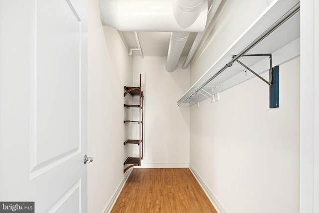 spacious closet featuring wood-type flooring