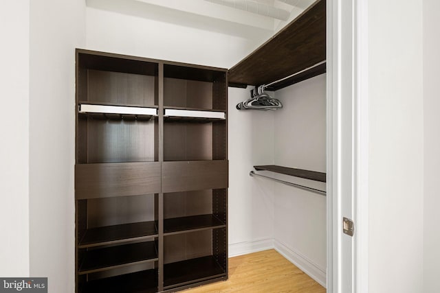 spacious closet featuring wood-type flooring