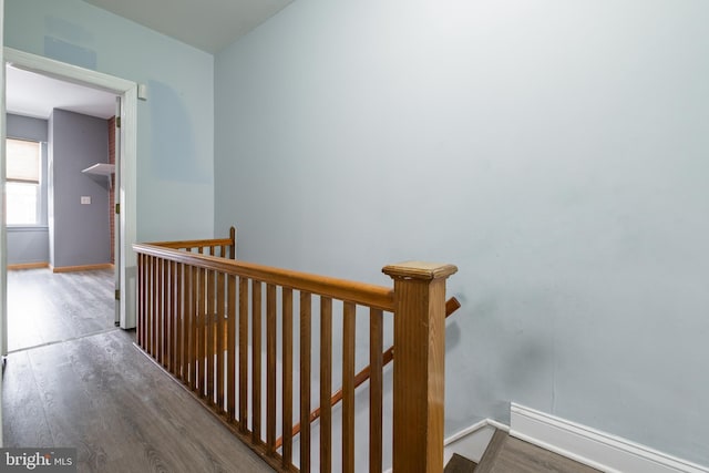 hall featuring wood-type flooring