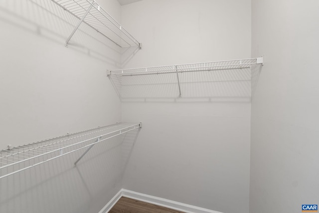 walk in closet featuring wood-type flooring