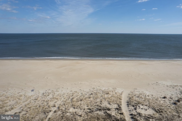 water view with a view of the beach