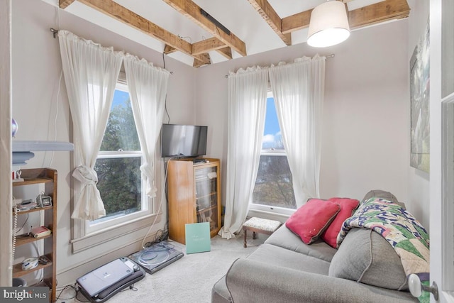 interior space featuring carpet and beamed ceiling