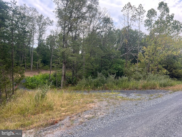 LOT36A Red Hawk Rd, Middletown VA, 22645 land for sale