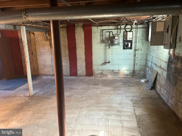 basement with electric panel