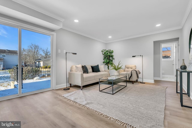 living room with light hardwood / wood-style floors and ornamental molding