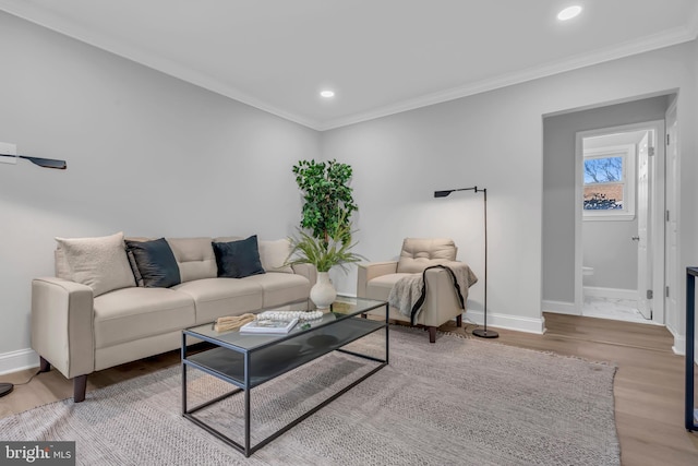 living room with light hardwood / wood-style flooring and crown molding