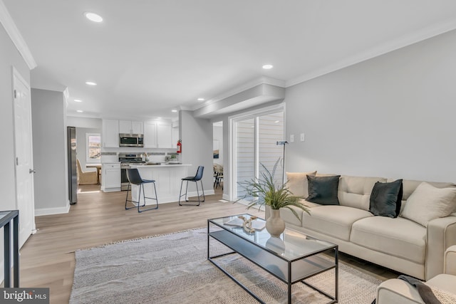 living room featuring crown molding and light hardwood / wood-style flooring