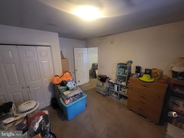 miscellaneous room with carpet flooring