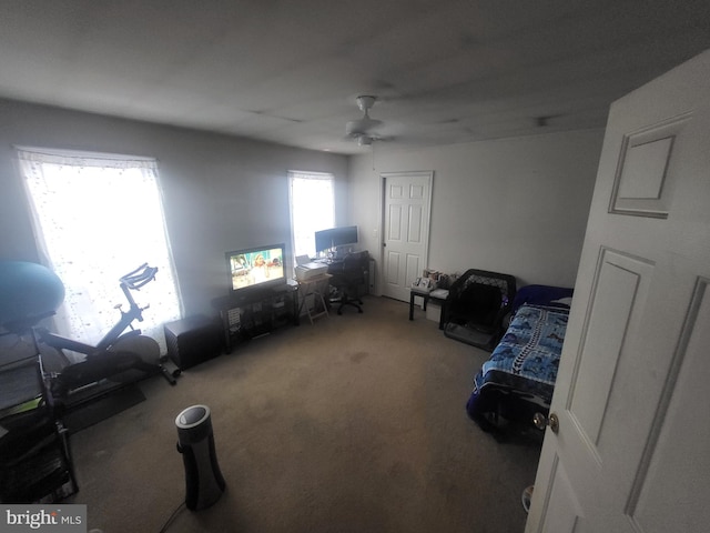 miscellaneous room featuring carpet floors and ceiling fan