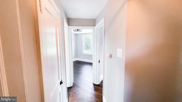 hall featuring dark hardwood / wood-style flooring