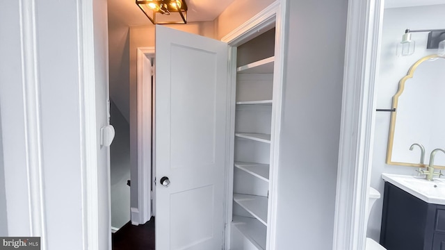 view of closet