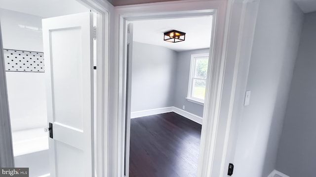 corridor with dark hardwood / wood-style floors