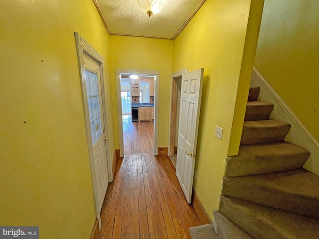 corridor featuring crown molding and light hardwood / wood-style floors