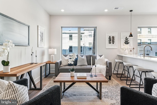 living room featuring hardwood / wood-style flooring and sink