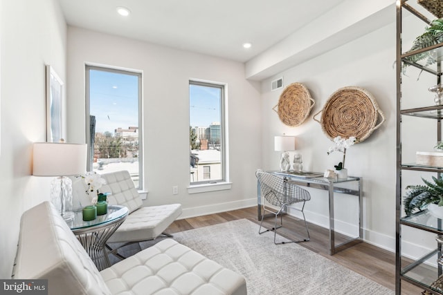 office featuring hardwood / wood-style flooring and a wealth of natural light