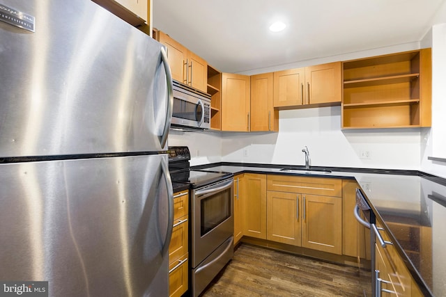 kitchen with appliances with stainless steel finishes, sink, and dark hardwood / wood-style floors