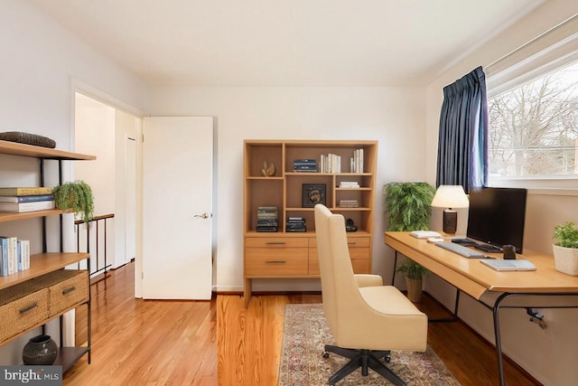 office featuring wood finished floors