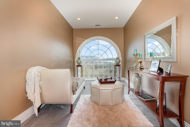 living area featuring carpet flooring