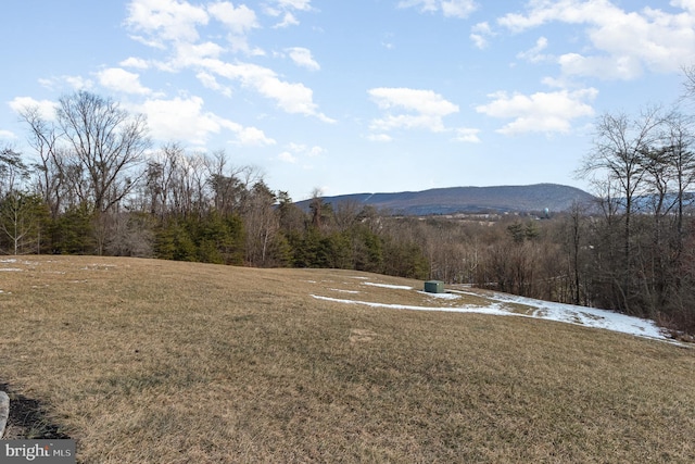 view of mountain feature