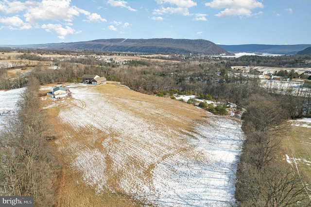 birds eye view of property featuring a mountain view