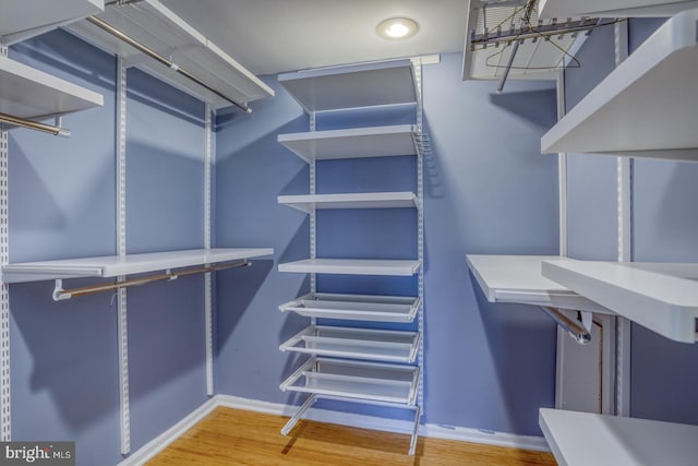 walk in closet with wood-type flooring