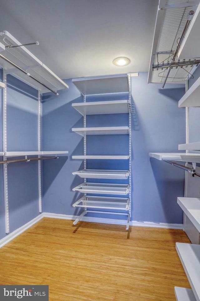 walk in closet with wood-type flooring