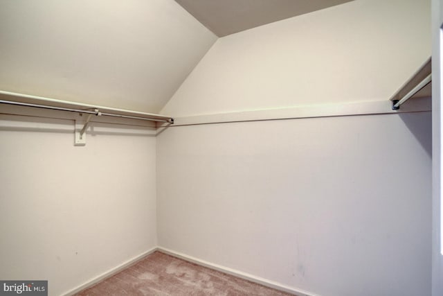 spacious closet featuring lofted ceiling and carpet floors